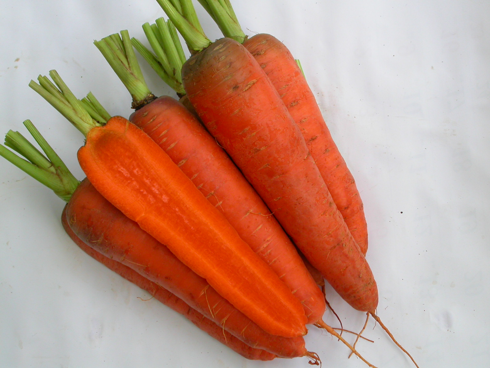 Cà rốt giống Kuroda đỏ