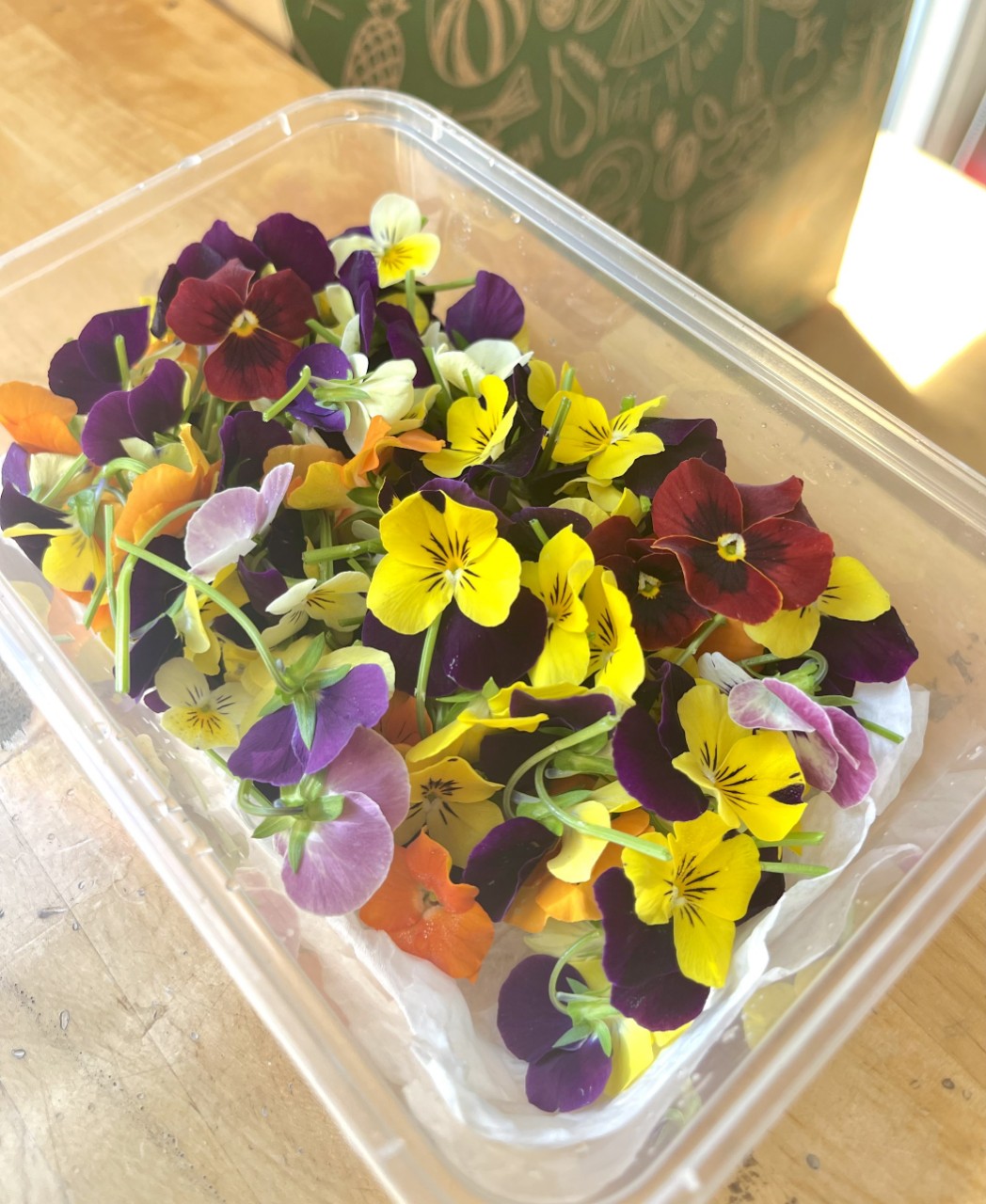 Hoa Viola (edible flower / hoa trang trí ăn được)